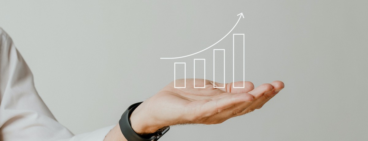 Basic Search Engine Optimization Guide | SEO Basics - WHN